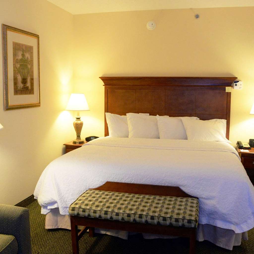 Hampton Inn & Suites Birmingham-Hoover-Galleria Oda fotoğraf